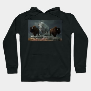 The Spirits of the Plains Hoodie